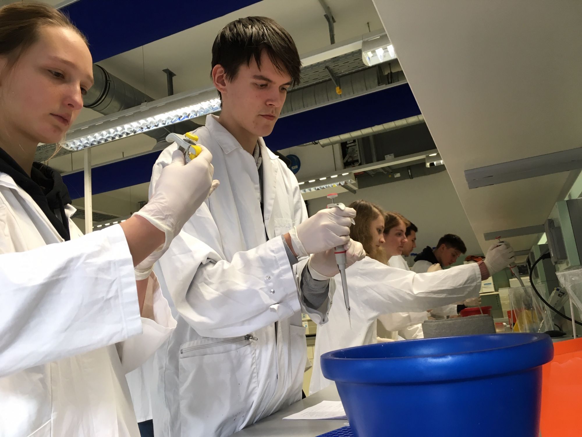 Schülerinnen und Schüler beim Pipettieren